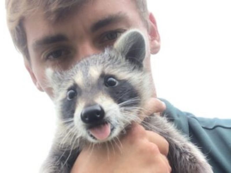 pest-controller-holding-baby-raccoon-charleston-sc