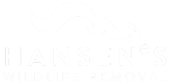 hansen-logo-footer